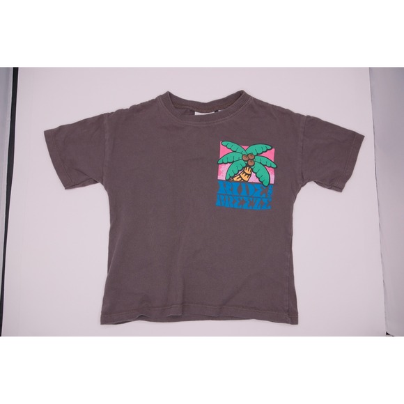 Zara Other - Zara Kids T Shirt Palm Tree Graphic Print Short Sleeve Gray Size 3 Years